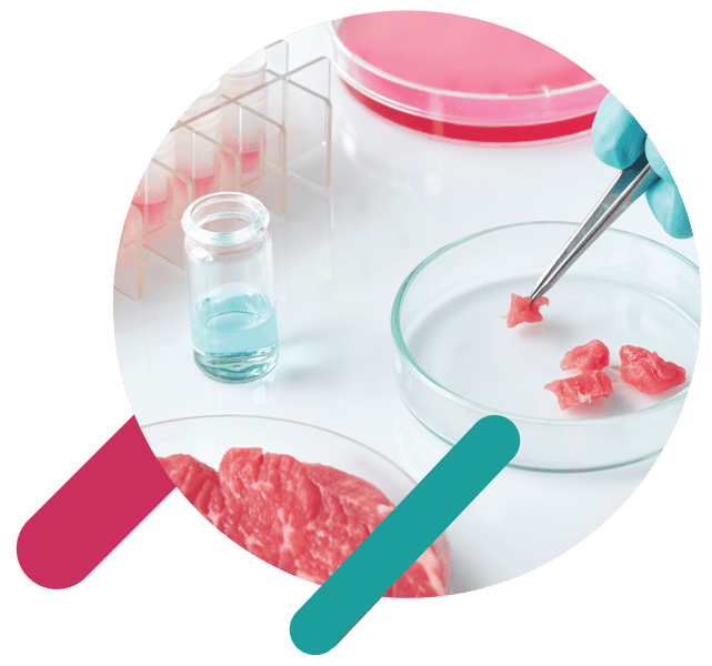 Alternative Proteins and Novel Foods