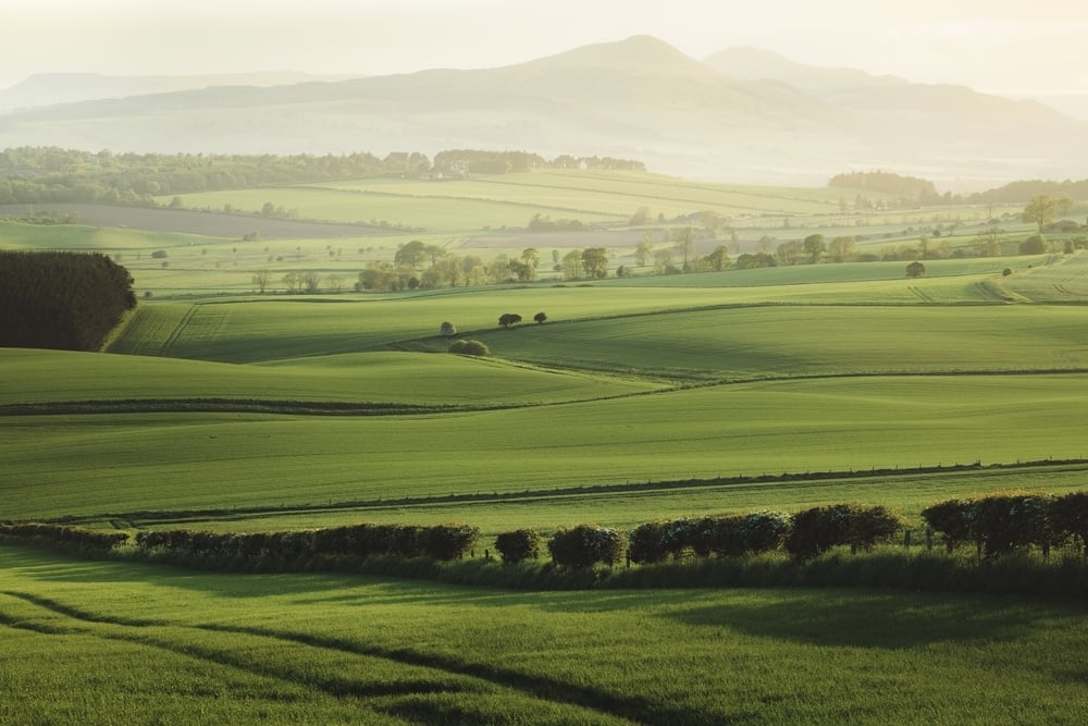 UK Farmland