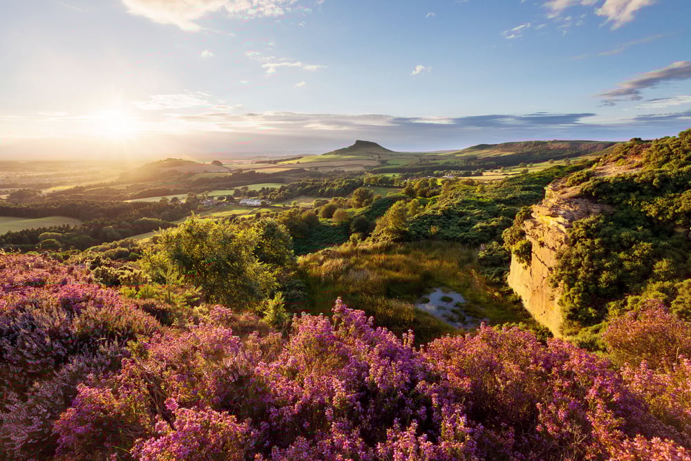 North York Moors