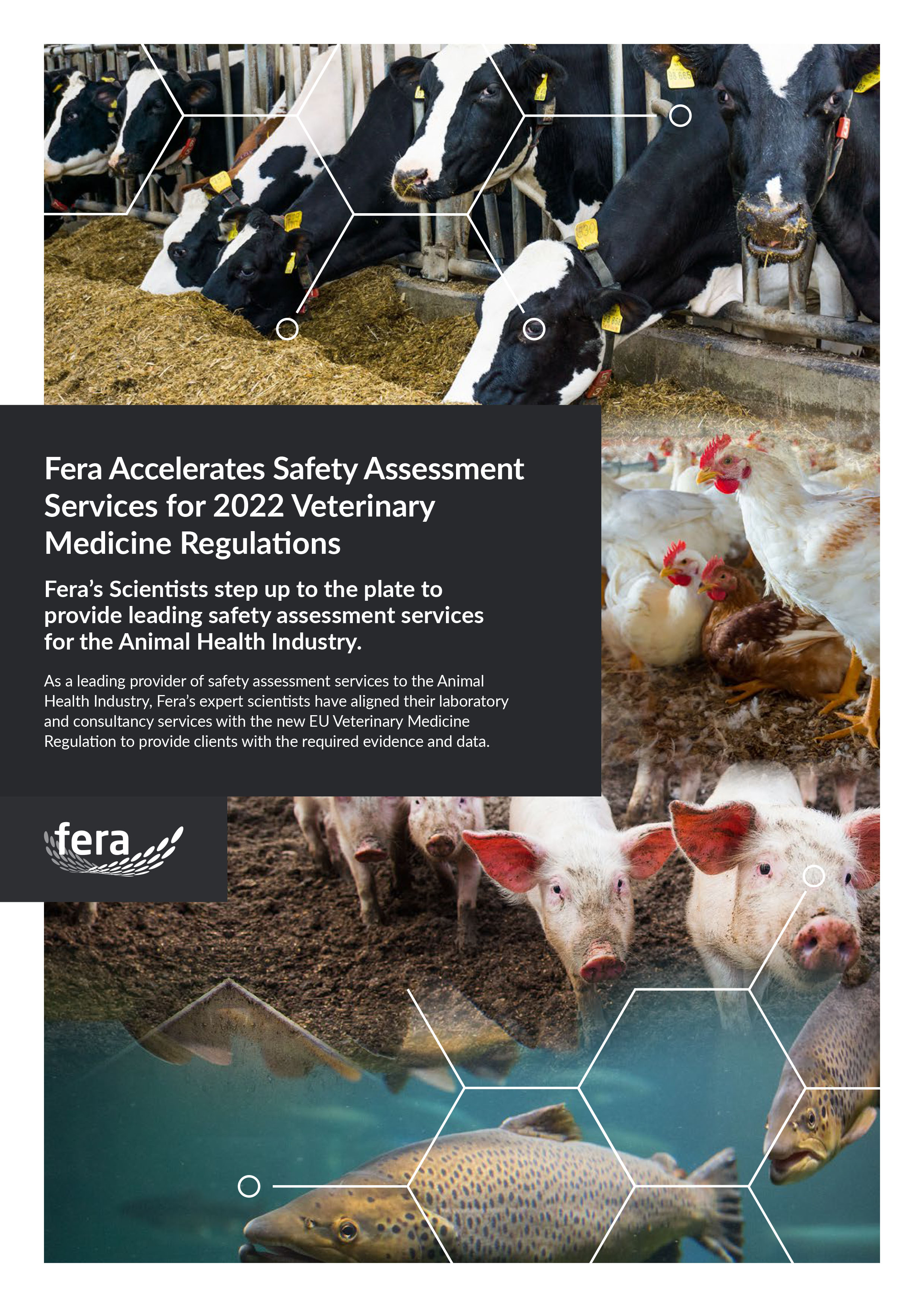 fera-vet-meds-pdf-front-cover-1