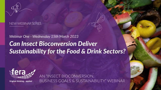 Can Insect Bioconversion Deliver Sustainability for the Food & Drink Sectors_-low-1
