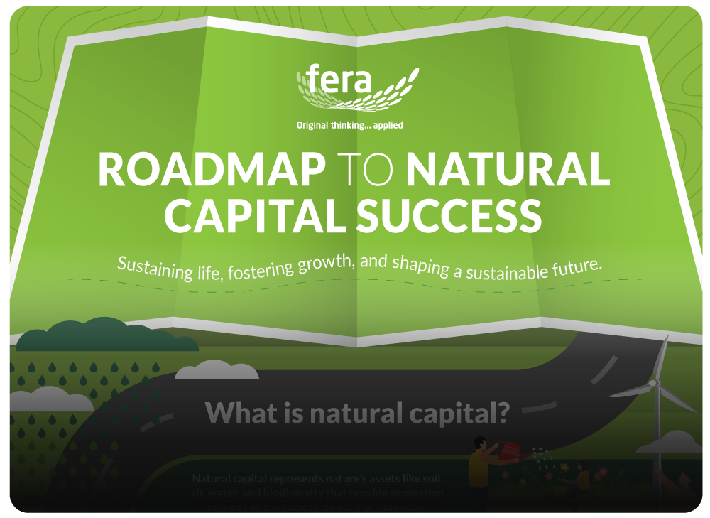 Fera-Natural-Cap-Roadmap-Infographic-Web-Image